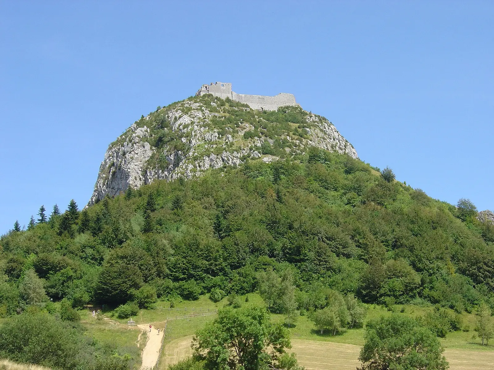 Le château de Montségur au sommet du pog entouré de forêt