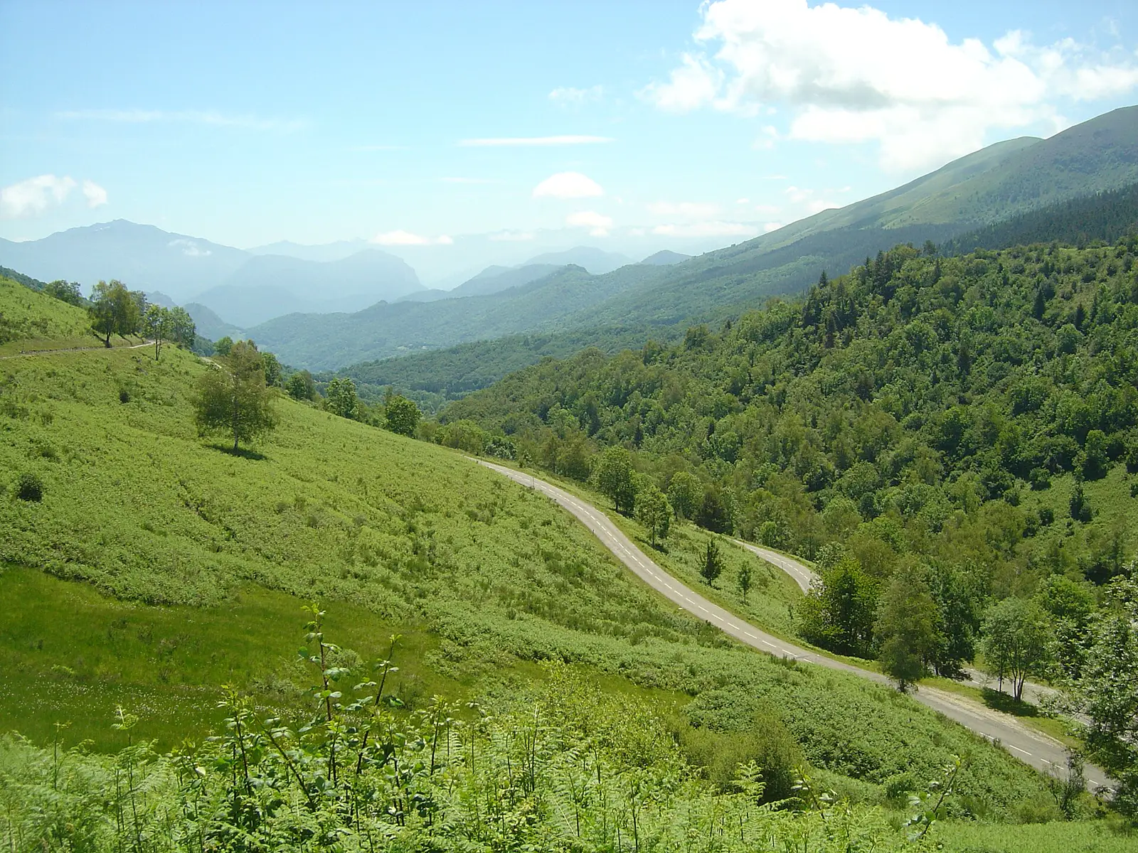 Les lacets du col de Port entre prairies et versants boisés