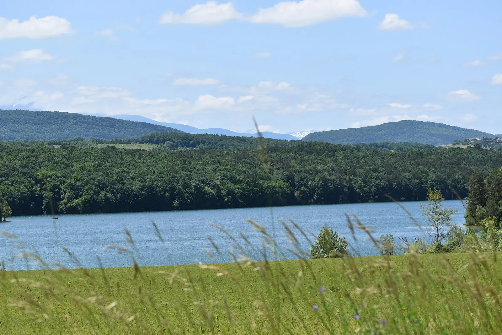 Le lac de Montbel bordé de prairies et de collines boisées