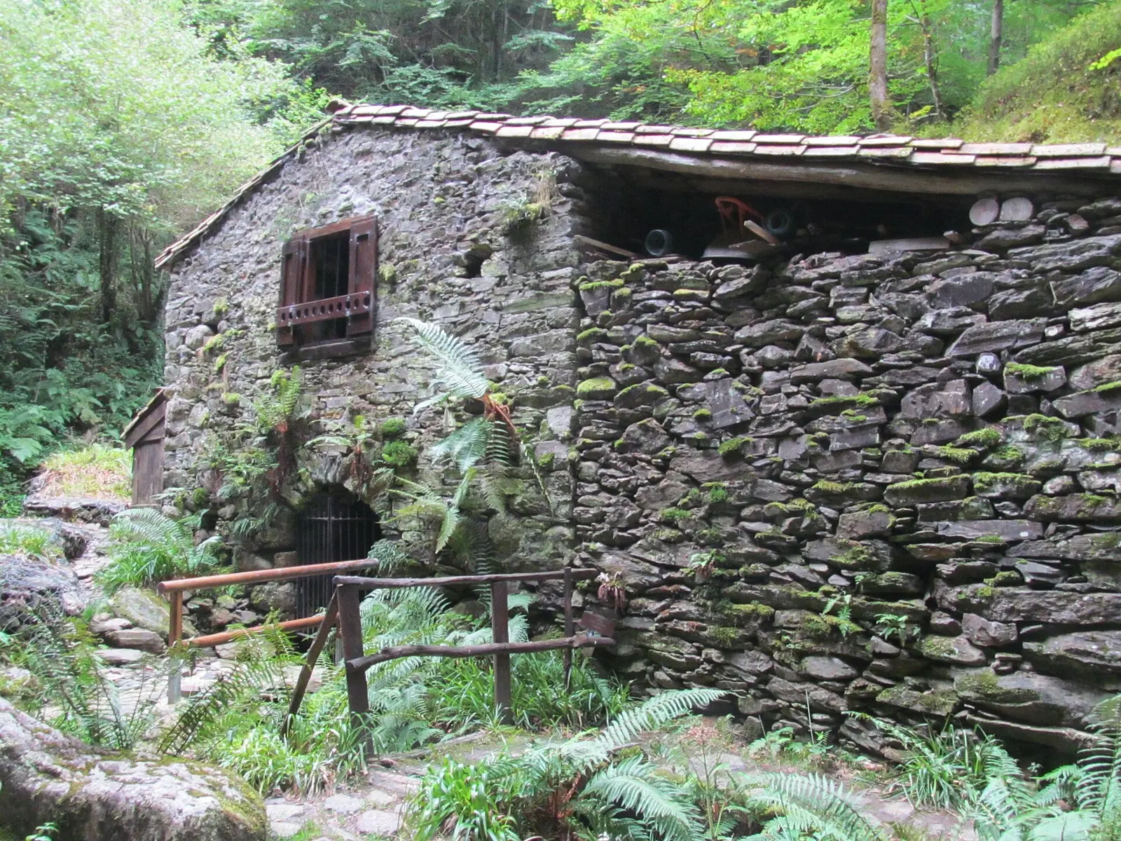 Le moulin de la Laurède entouré de fougères dans les sous-bois